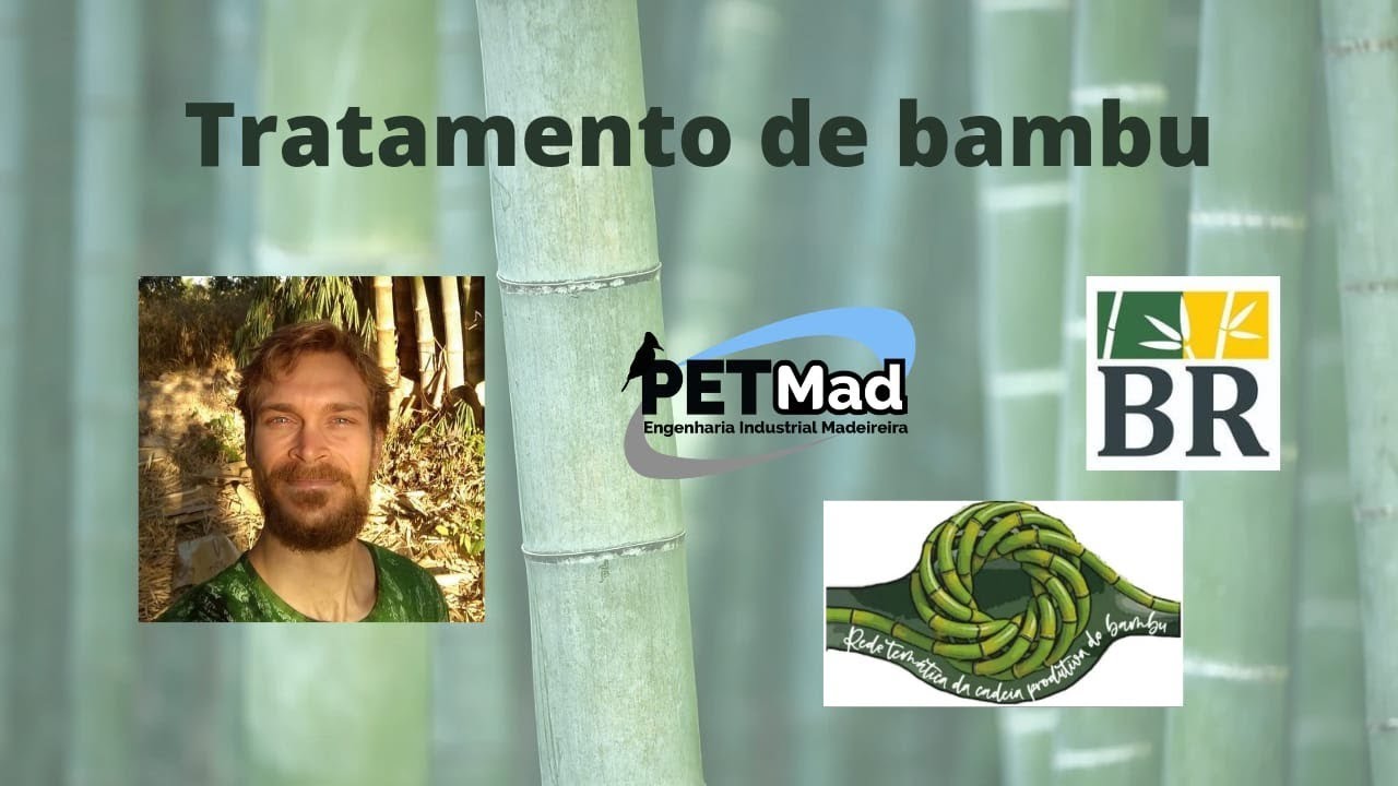 Tratamento de Bambu