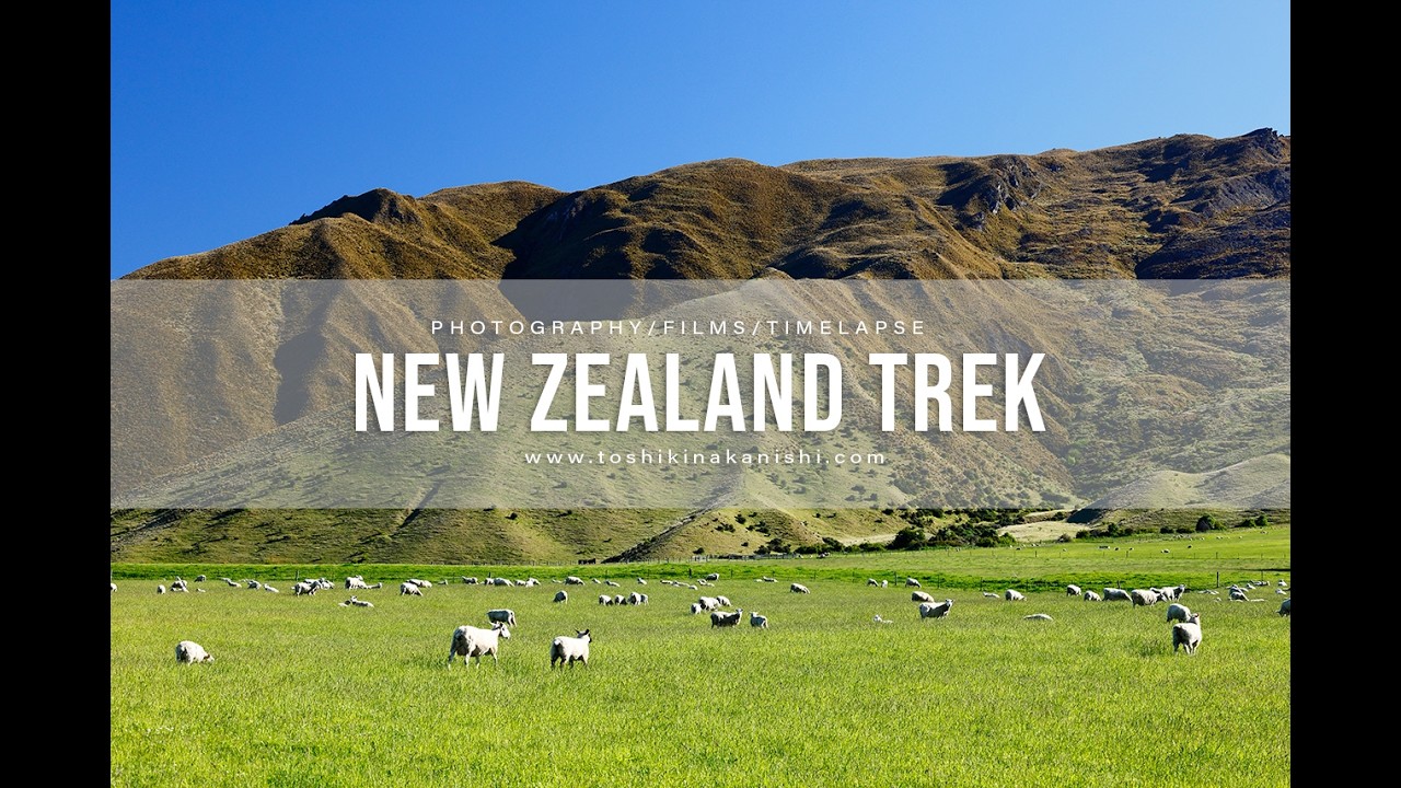 New Zealand Trekking | 夏の南島・氷河を歩く旅