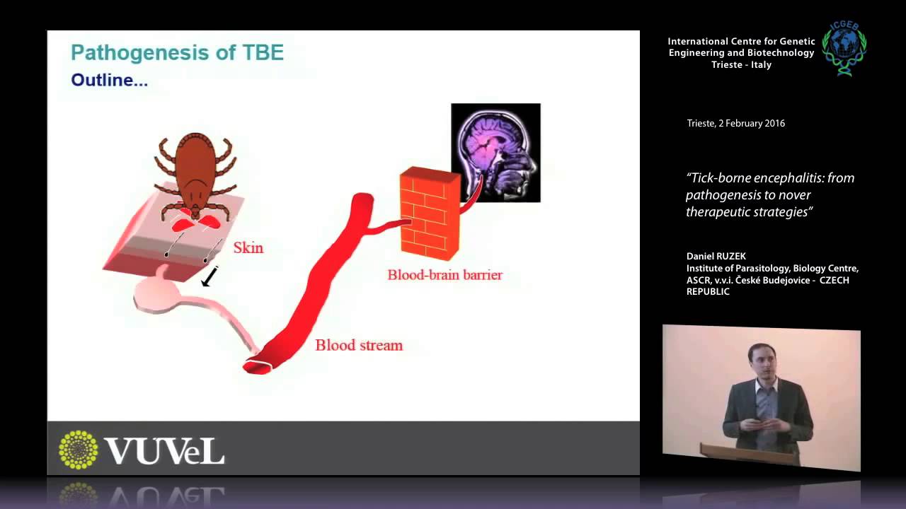 D. Ruzek - “Tick-borne encephalitis: from pathogenesis to nover therapeutic strategies”