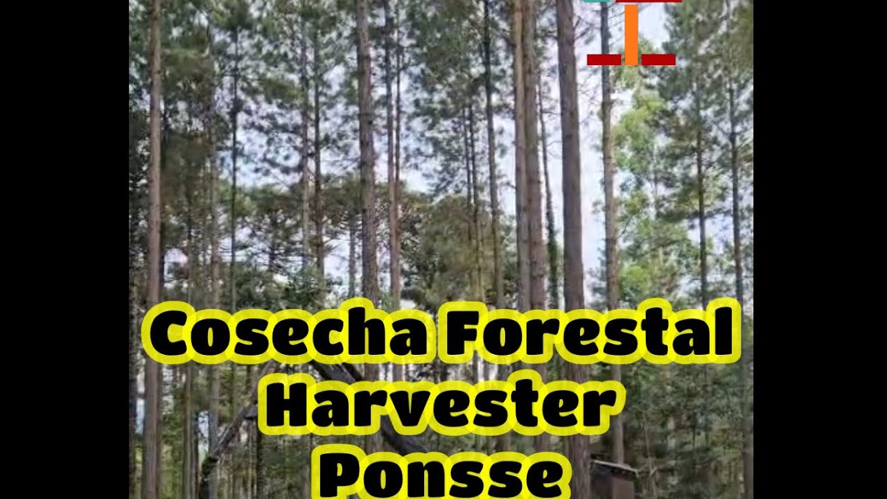Cosecha Forestal con Harvester Ponsse