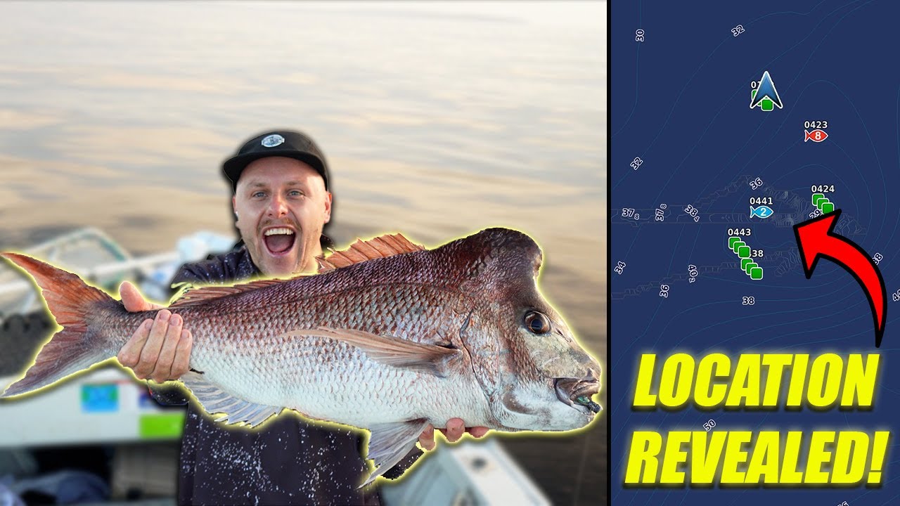 How To: Catch Deep Water Snapper on Soft Plastics!