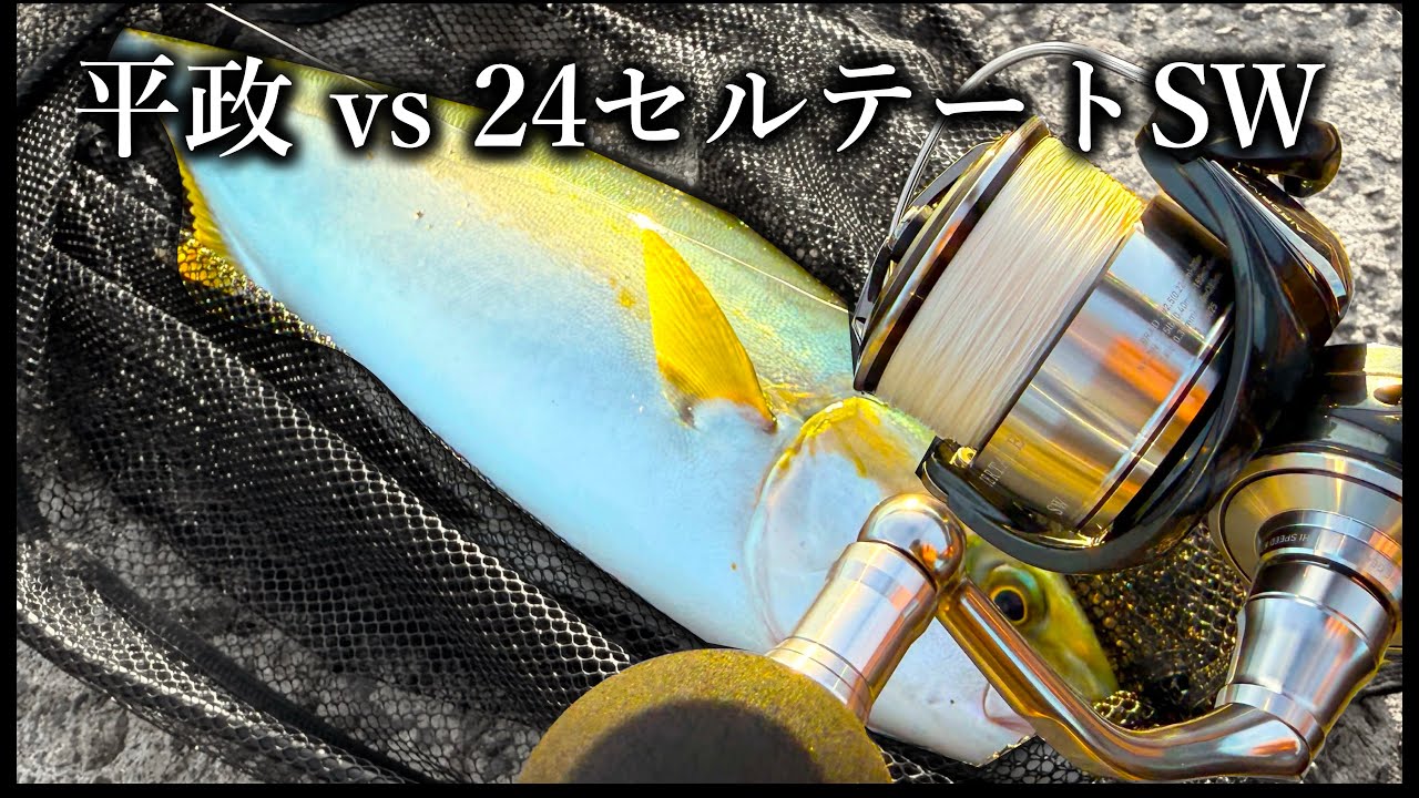 【ショアジギング】セルテートSWで堤防ヒラマサと激闘！！セルテートの強度はいかに・・・
