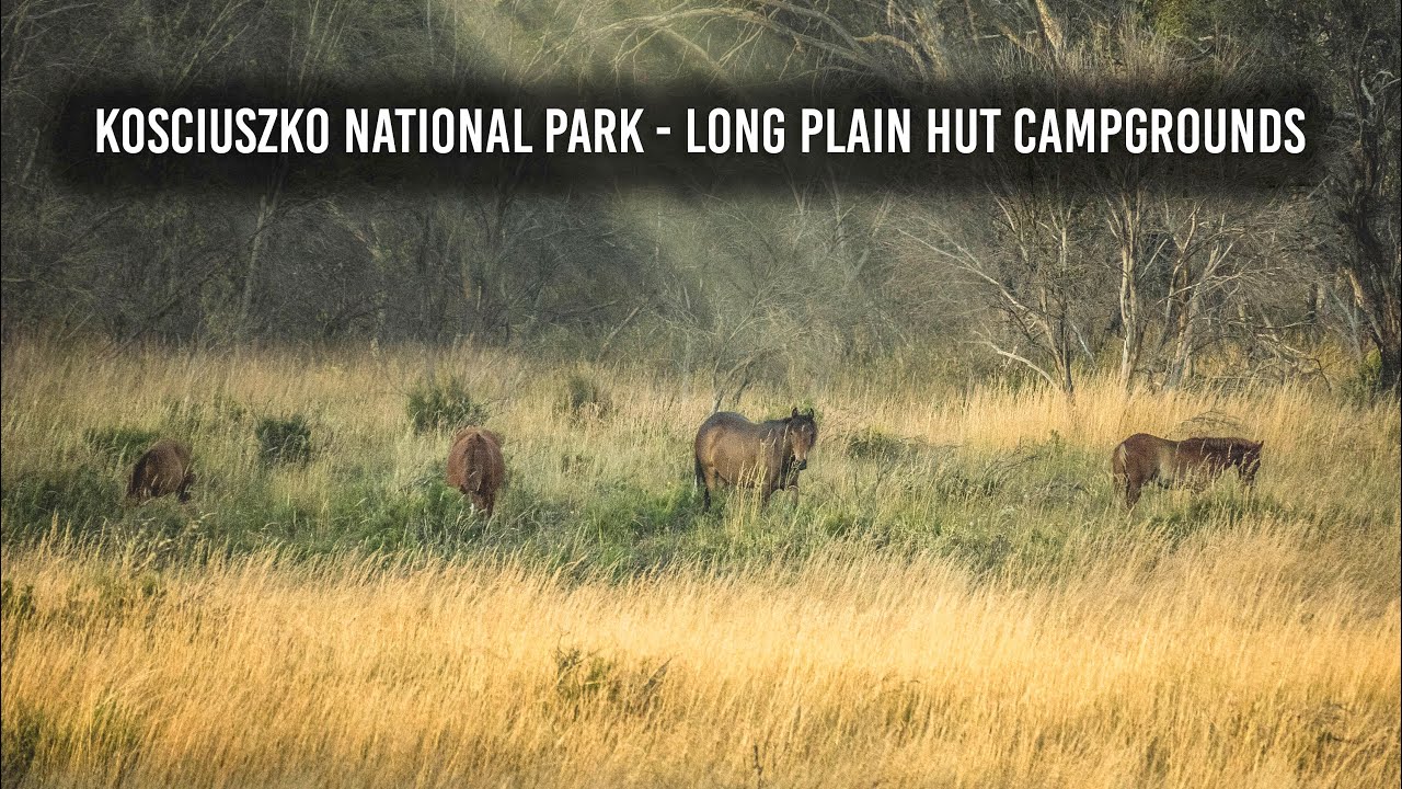 Long Plain Hut Campground, Kosciuszko, Yarrangobilly Caves, Grey Nomads Travelling Australia Ep-120