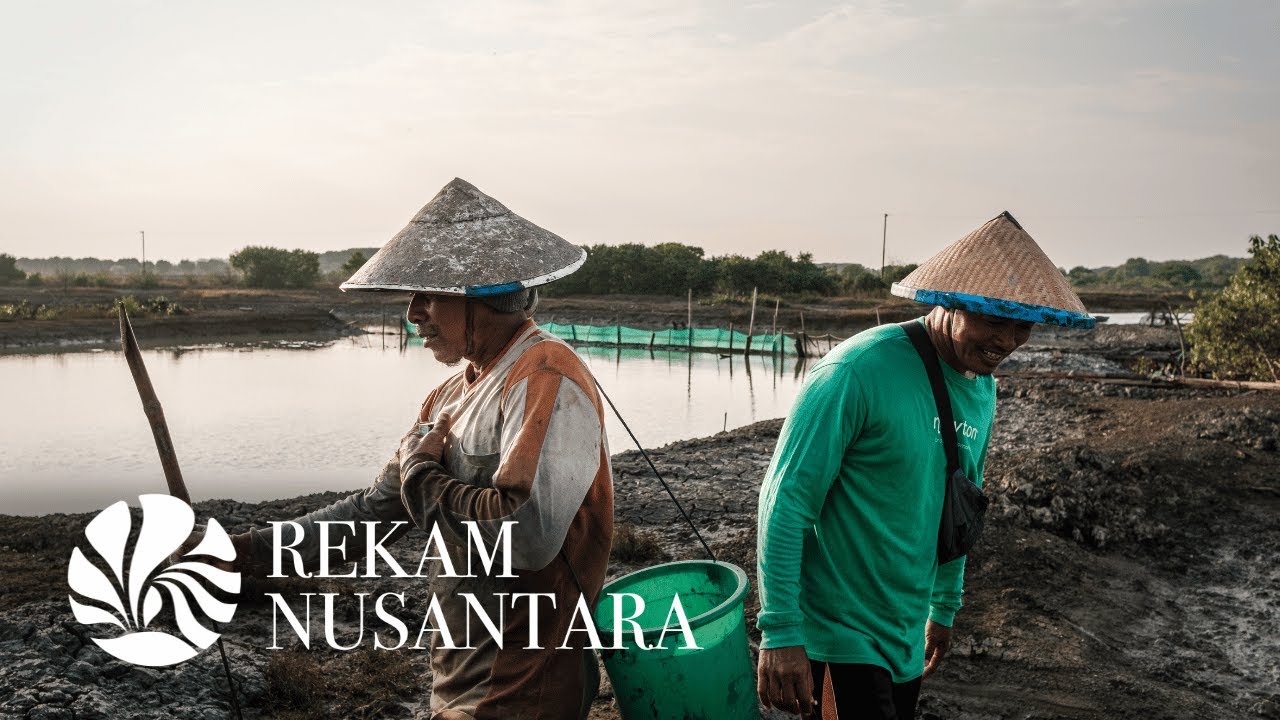 Upaya Kolektif Masyarakat Pesisir Melawan Krisis Iklim | Rekam Nusantara