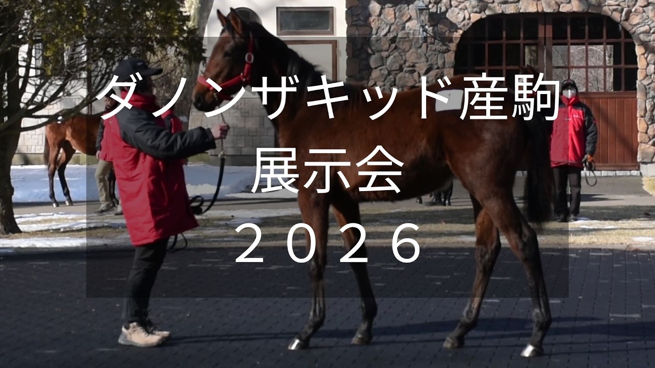【ダノンザキッド産駒展示会】G2・3着マイネルクリソーラの半弟など1歳馬4頭が登場！