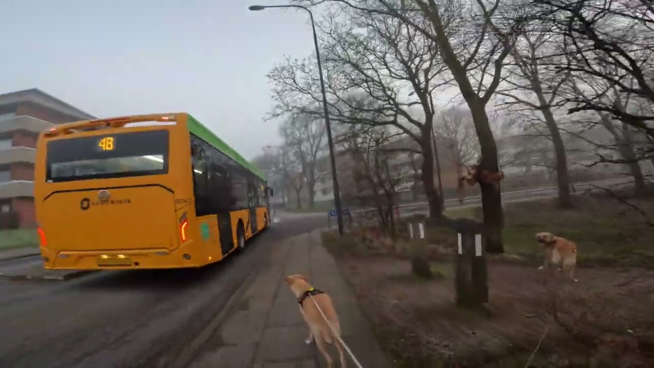 Foggy monday morning (Denmark/Esbjerg)