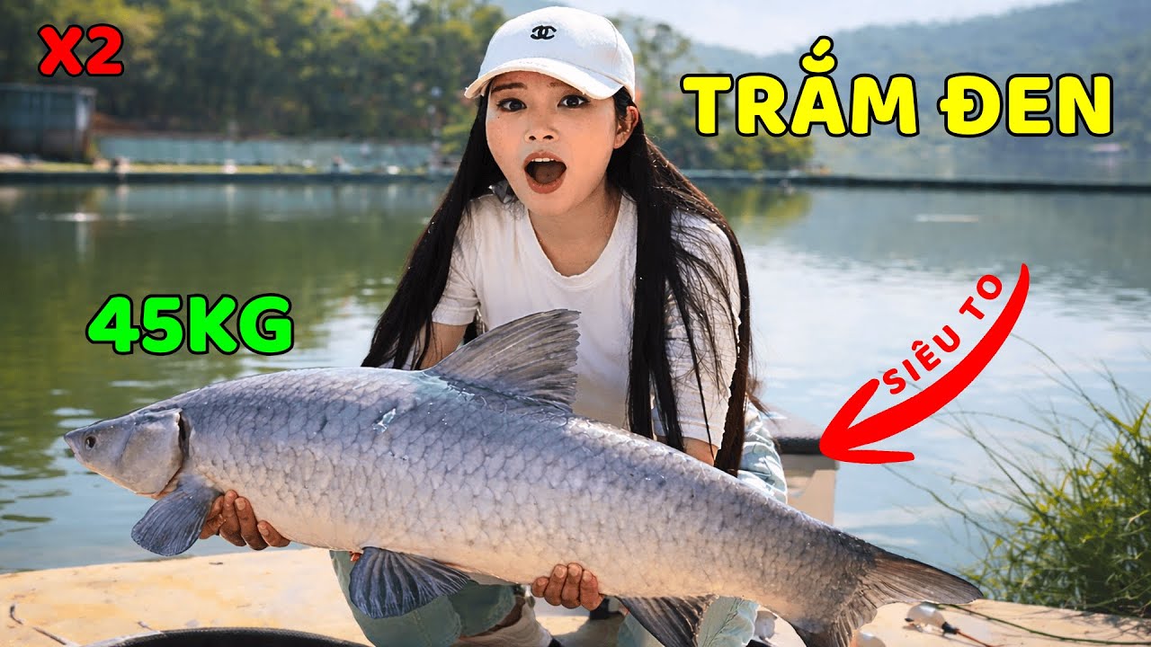 Cá Trắm Đen | Màn so tài nghẹt thở với cần thủ địa phương #cauca #fishing
