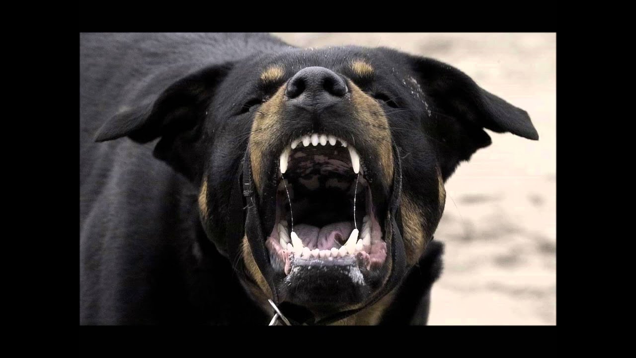 Hard Aggressive Rap Hip Hop Instrumental Beat  (Resident Evil)
