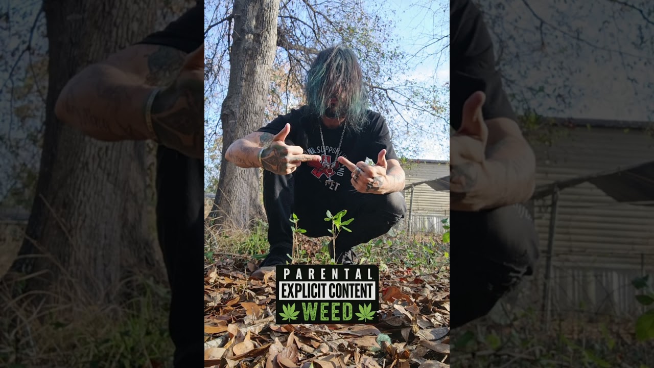 Day I Die OG