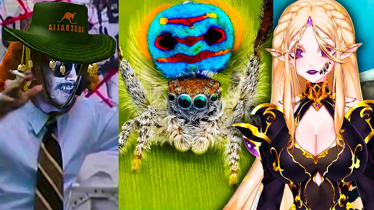 Australia's MOST HORRIFYING Spiders | Vtuber Reacts to MoreParz