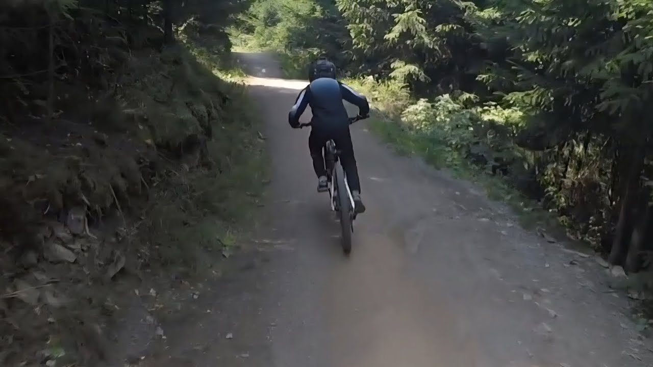 MTB Zone Willingen - Flow Country