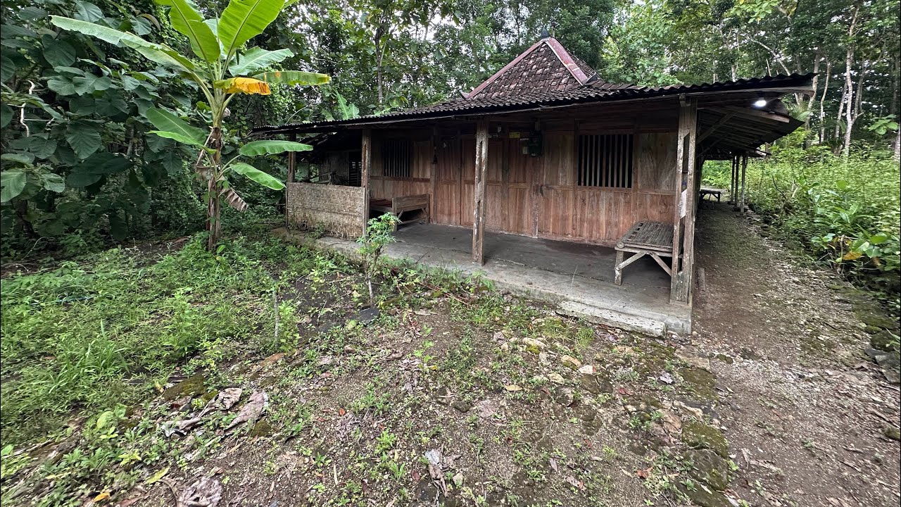 Rumah kayu murah meriah