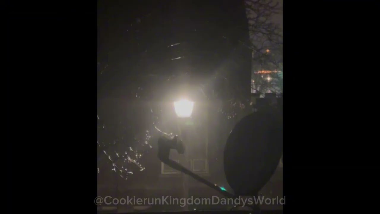 Just over an hour of rain sounds #asmr 
