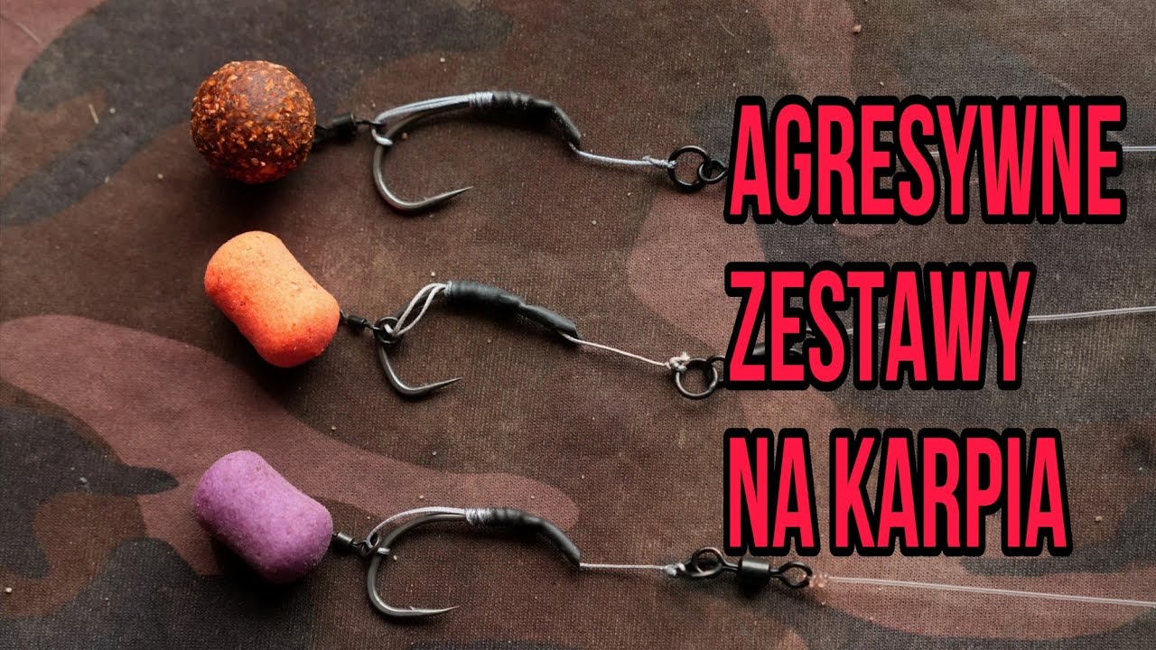 Agresywne zestawy na KARPIA
