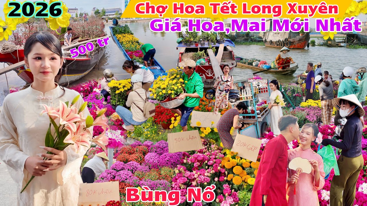 BÙNG NỔ Chợ Hoa Tết Long Xuyên An Giang 2026 Cập nhật giá Mai,hoa,hạnh,vạn thọ.. dân ùn ùn đi mua