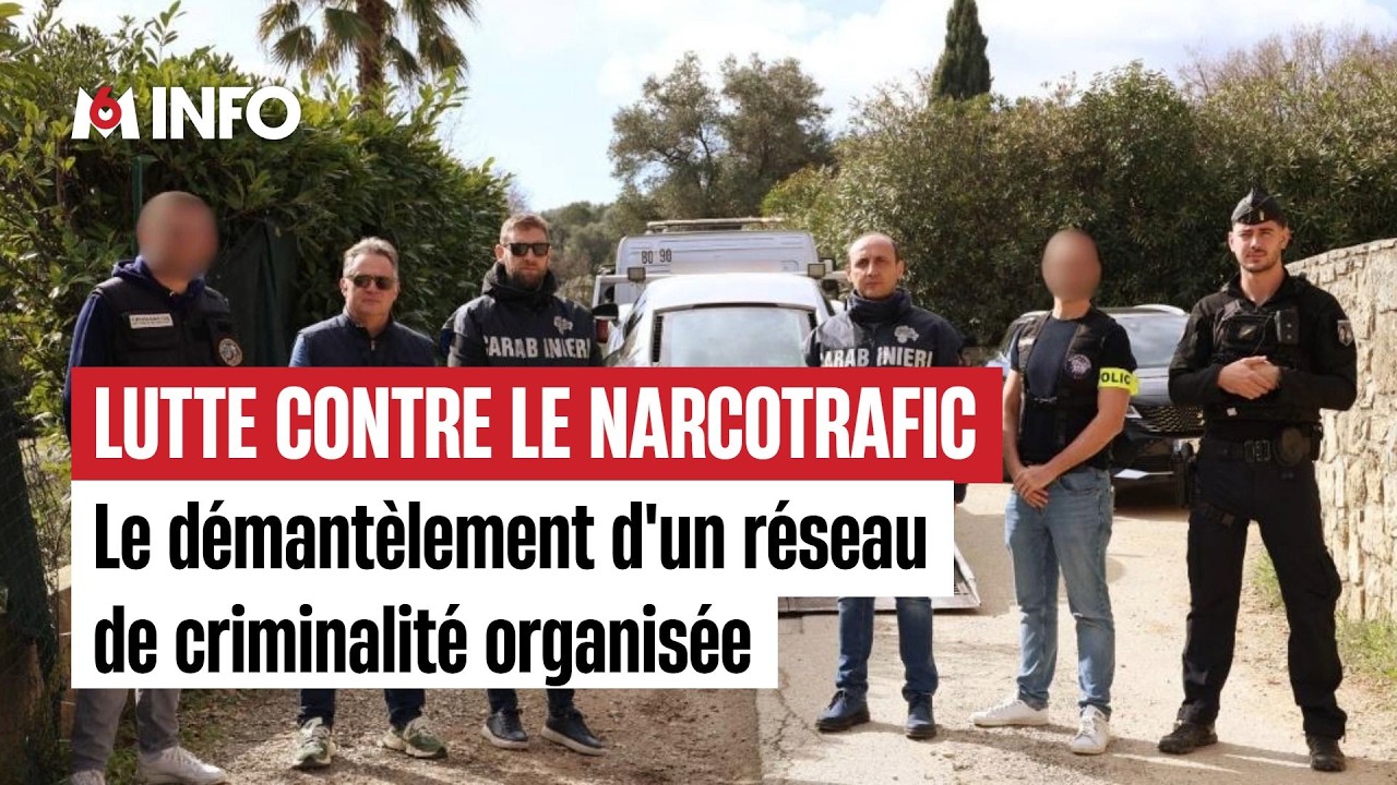 Un réseau de narcotrafic démantelé, 7 personnes arrêtées