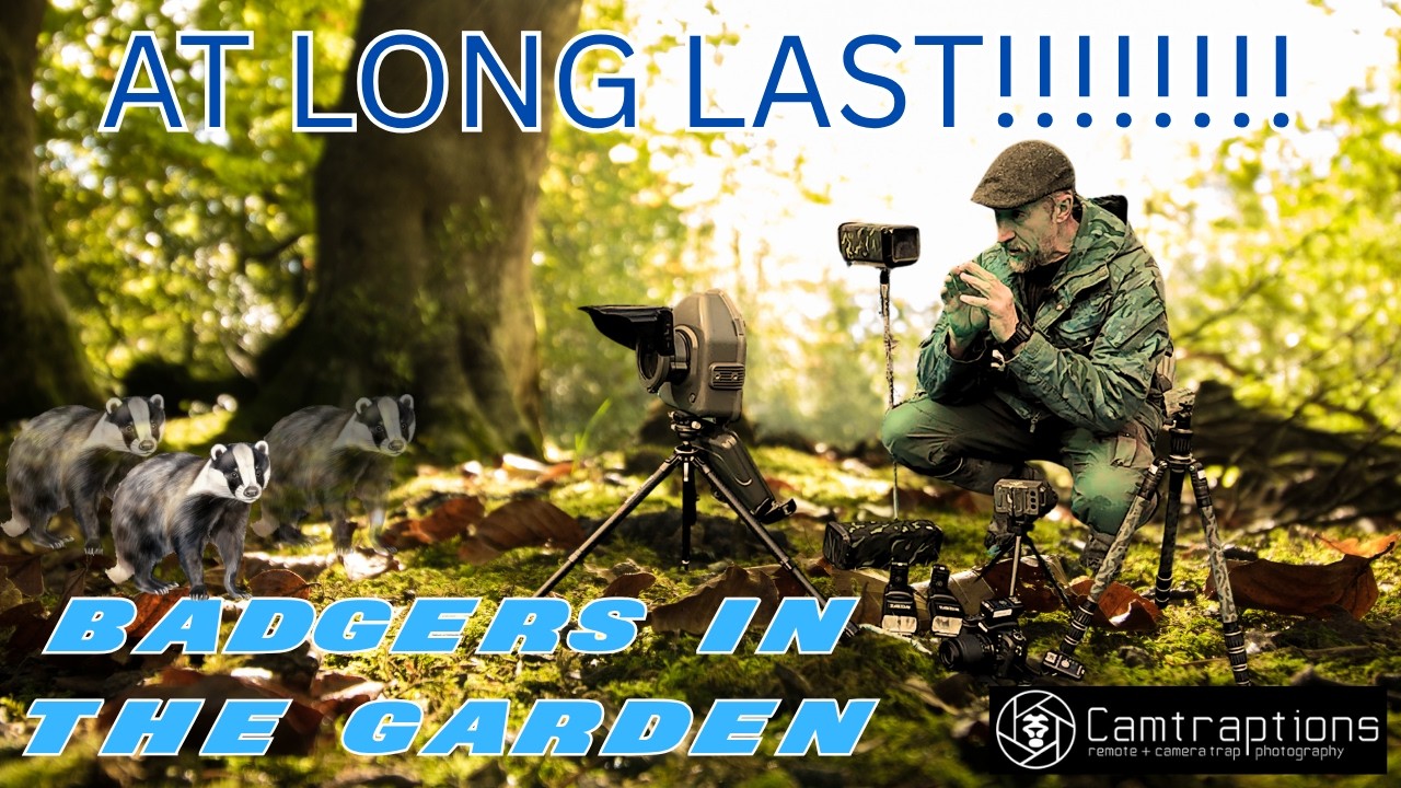 ZŁOWIENIE BORSUK&Oacute;W Z KAMERY - SPRZĘT CAMTRAPTIONS - ELUSIVE BROCK