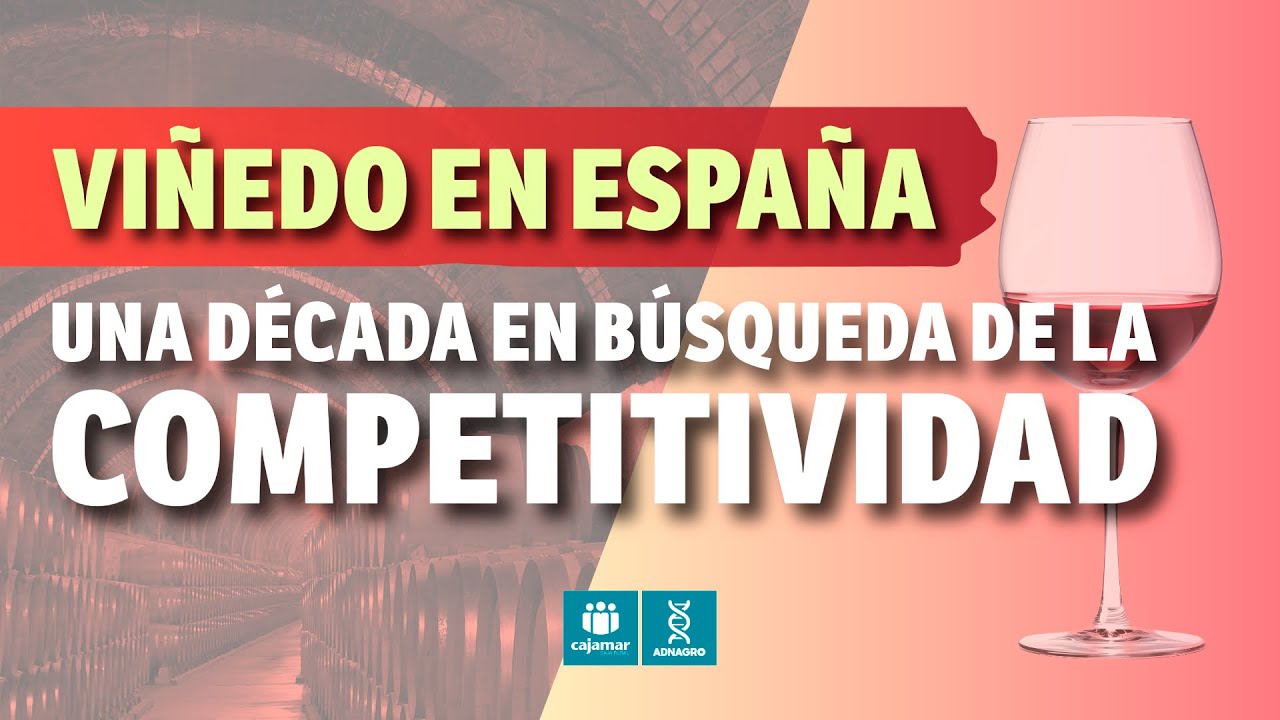 🍷📊 Viñedo en España:  una década para reforzar la competitividad