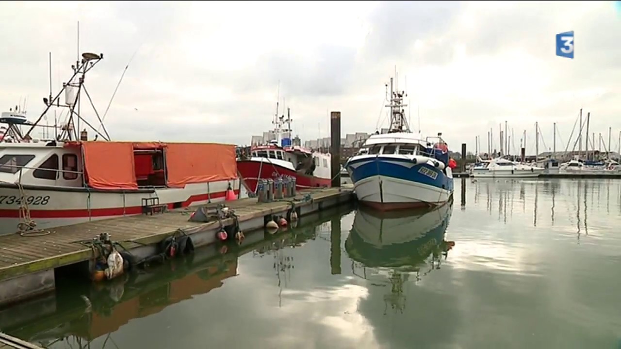 Dunkerque : la polémique enfle autour de la pêche électrique