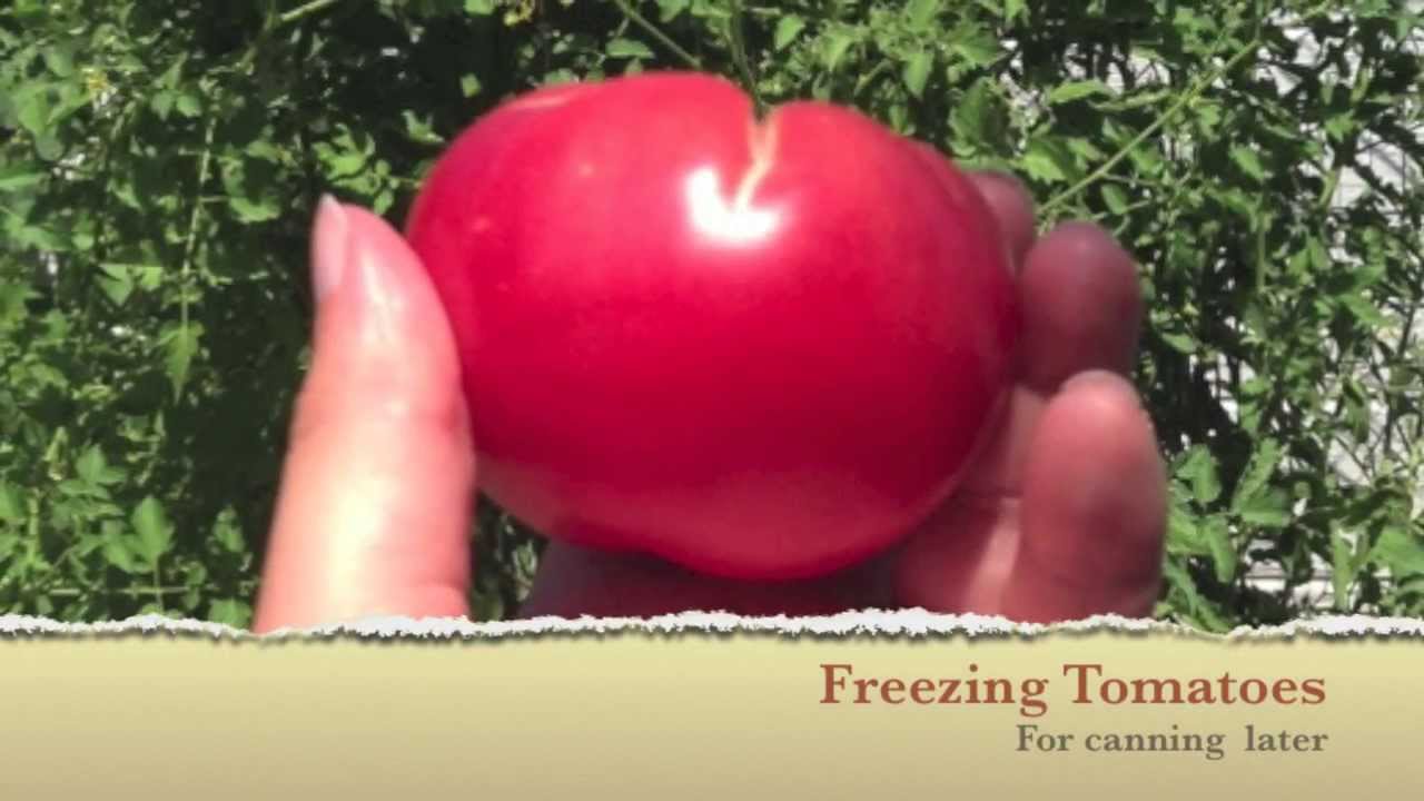 Freezing Tomatoes