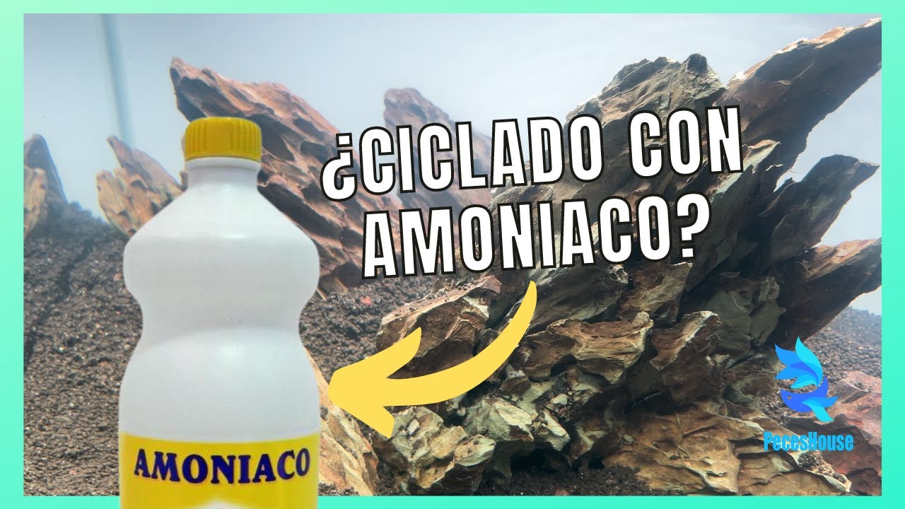 M&eacute;todo de CICLADO EXPRESS - &iquest;Con Amoniaco? 😱