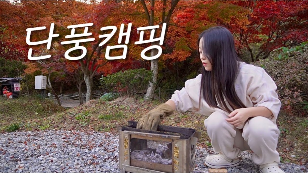 여기 단풍 맛집이였군! | 광주 근교 단풍 캠핑 | 반려견 동반 | 아이두젠 A10 max | camping | 전남 곡성 자연애품 캠핑장