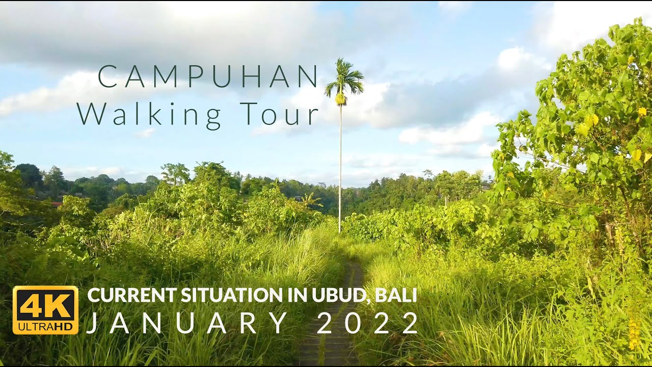 [4k Walking Tour] Campuhan Ridge Walk, Ubud, Bali