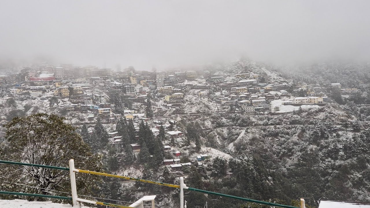 😍 Snowfall in Mussoorie ❄️Basant Panchami in god gift❄️#viralvideo #mussorie ##himalayantrip 23-1-26