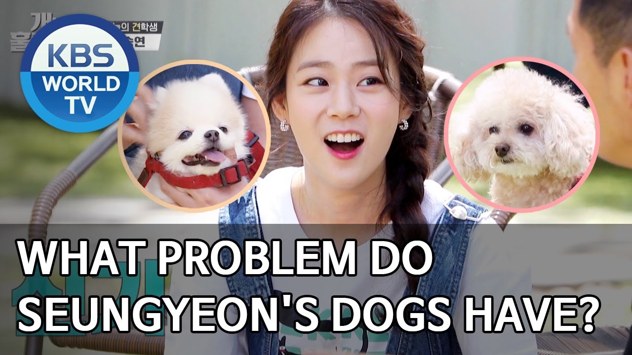 What problem do Seungyeon's dogs have? [Dogs are incredible/ENG/2020.06.10]