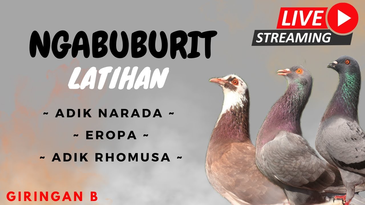 Melatih Giringan B (Adik NARADA,EROPA DAN Adik RHOMUSA)