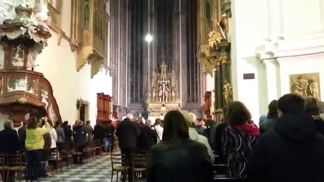 Císařská hymna na Petrově. Brno 23.10.2014