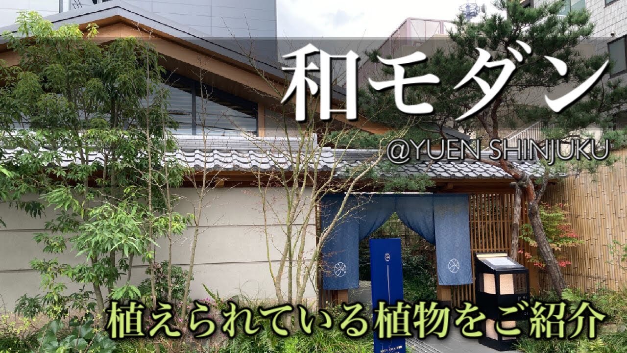 【和モダンな植栽】 現代和風なオシャレなお庭。実際に植えられている植物をご紹介@YUEN SHINJUKU【前編】