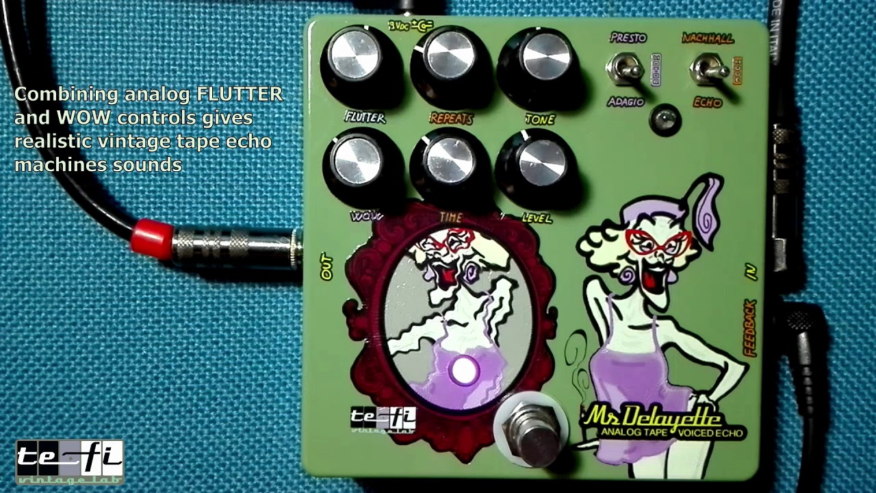 Focusing on MS. DELAYETTE, echo/reverb machine - TEFI Vintage Lab