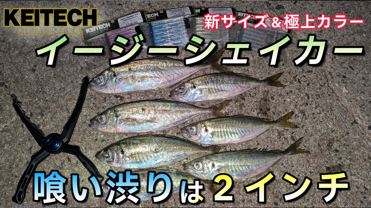 喰い渋りは2インチで釣れ！泣き尺の時合アジングでしたが、ジグヘッドにワームをまっすぐにセットする簡単な方法を語ります