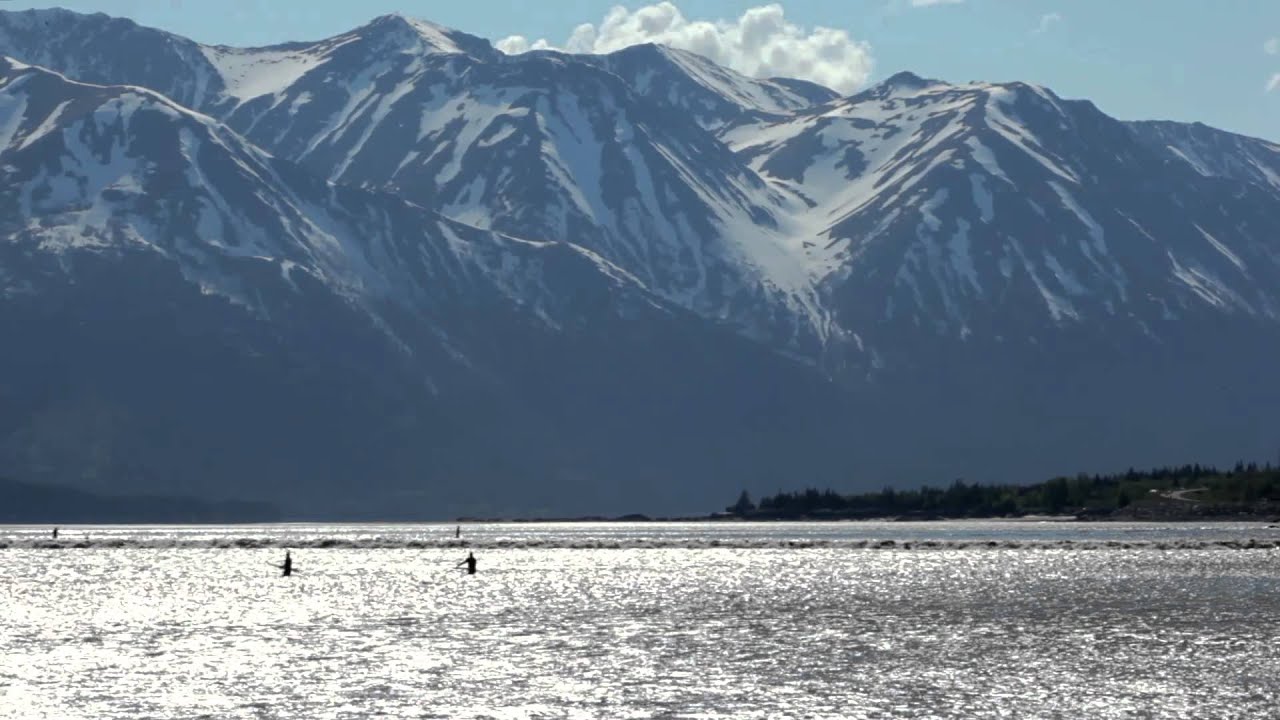 Surfing Alaska's Turnagain Arm Bore Tide