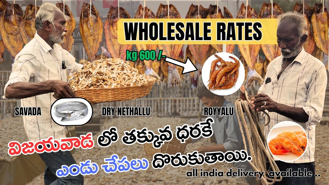 ఎండు చేపల మార్కెట్| ఎండు చేపల ధరలు| Dry Fish Market Telugu | Dry fish market vijayawada 