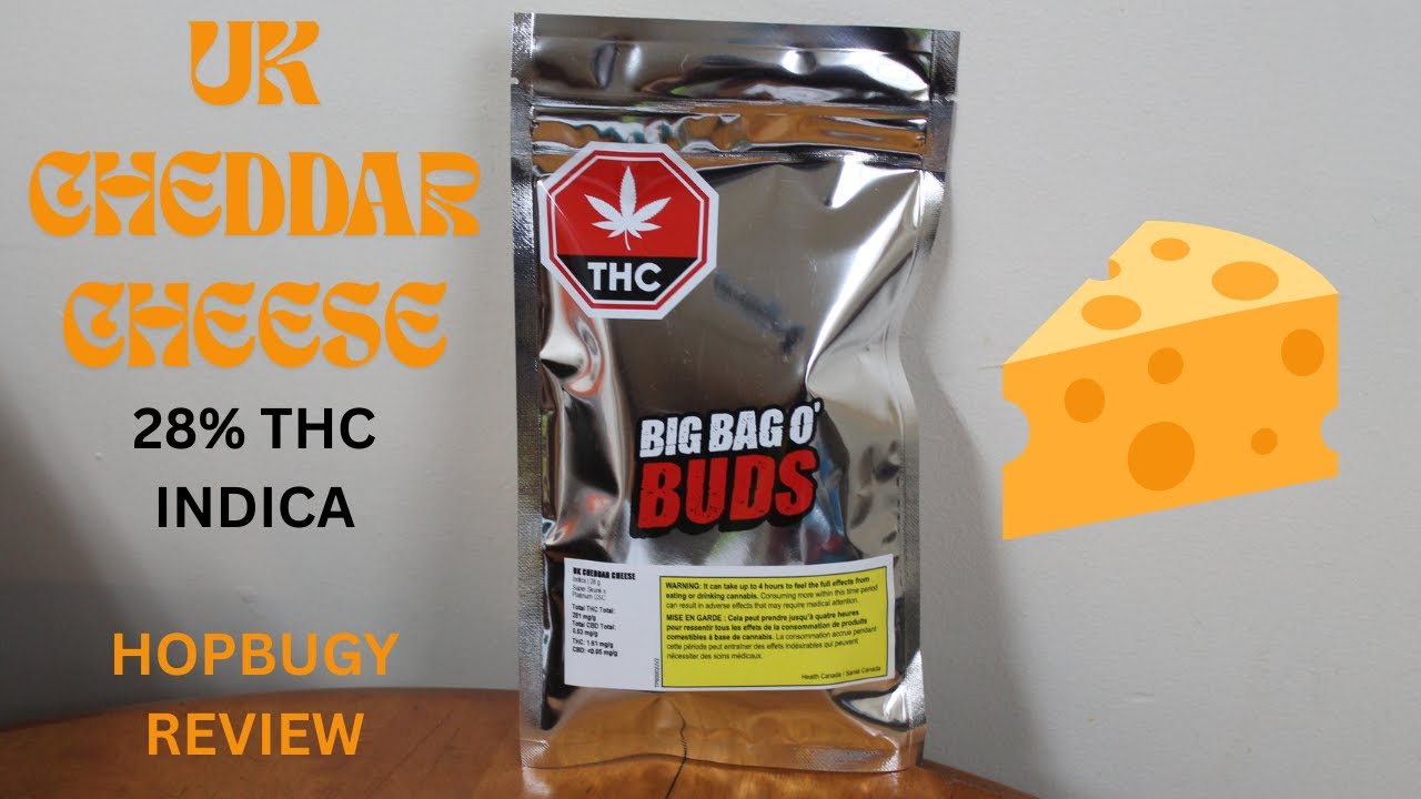 UK Cheddar Cheese Big Bag O Buds 28% thc Indica Pot Review