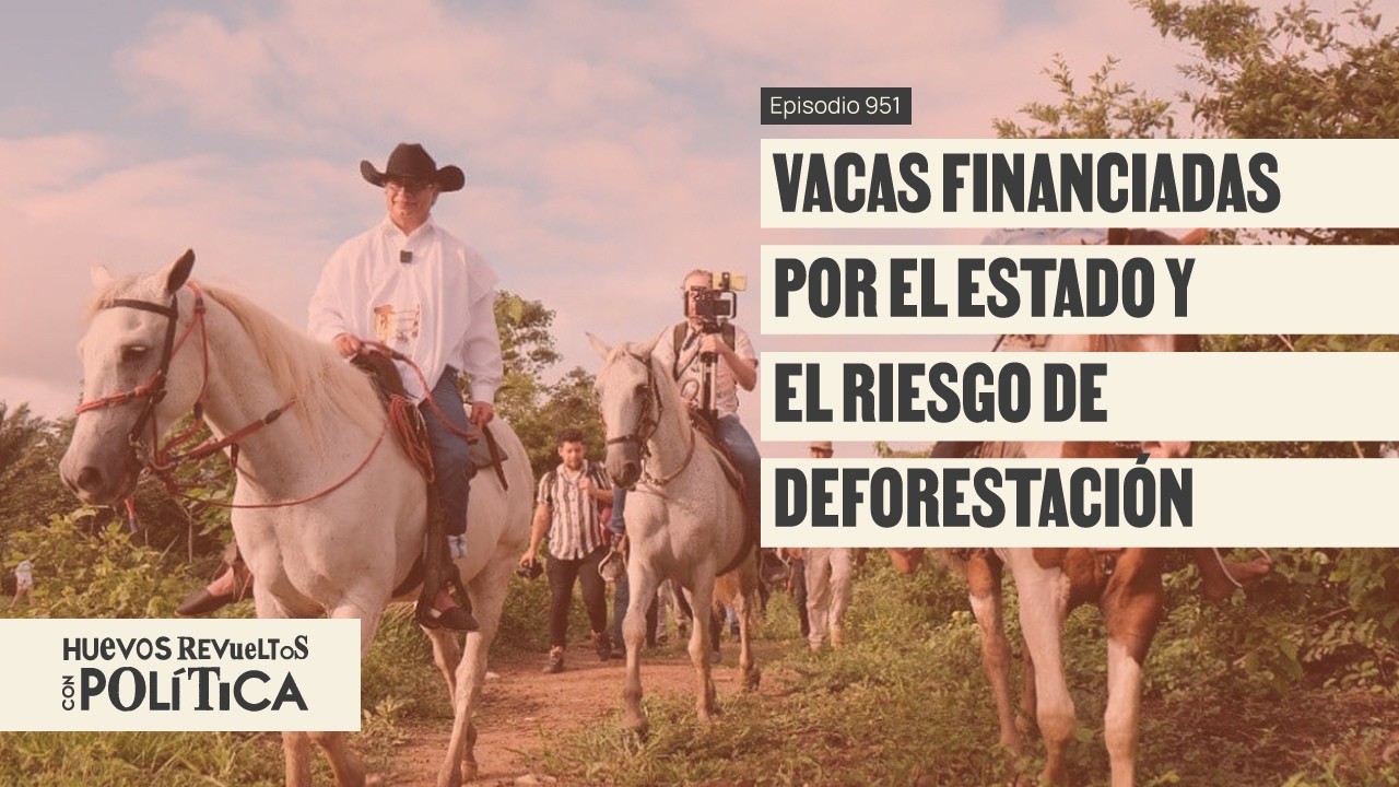Amazonía: casi la mitad de créditos bancarios se destinan a la ganadería - Huevos Revueltos