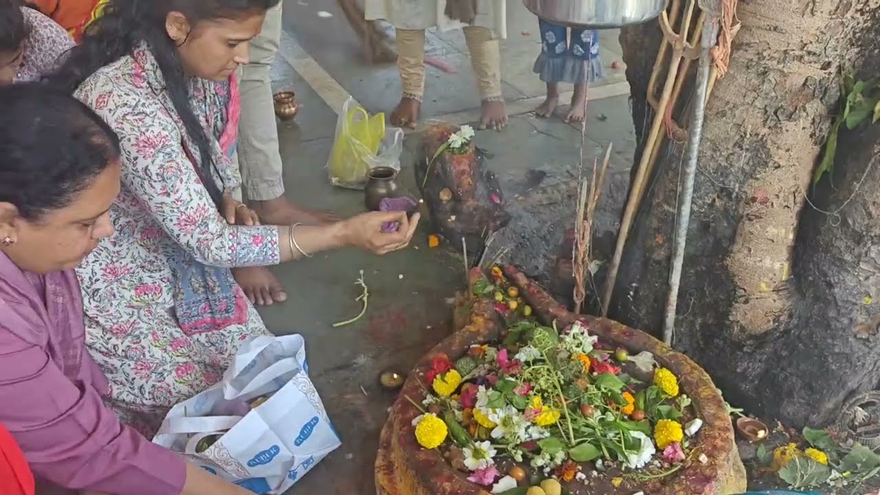 Mahashivratri Special 🙏 | Shiv Mandir Darshan & Pooja Vlog | @Life with Meenakshi|har har mahadev 