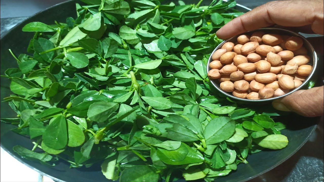 ಮೆಂತ್ಯ ಸೊಪ್ಪು ಮತ್ತು ಶೇಂಗಾ ಬೀಜದ👉 ರೊಟ್ಟಿ ಚಪಾತಿಗೆ super recipe|konkani recipes Methi leaves recipe 