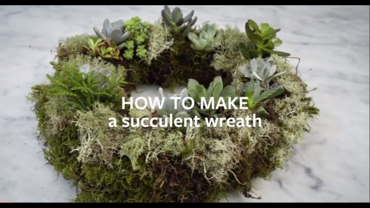 How to make a Succulent wreath | Grow at Home | Royal Horticultural Society