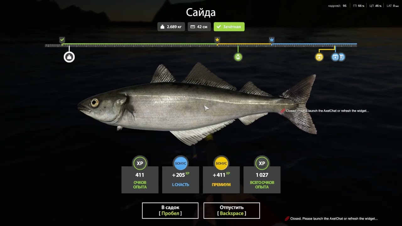 Beluga Venga 10000 Приобрел)