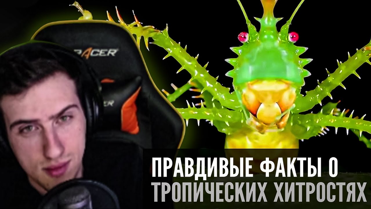 Hellyeahplay смотрит: Правдивые факты о тропических хитростях