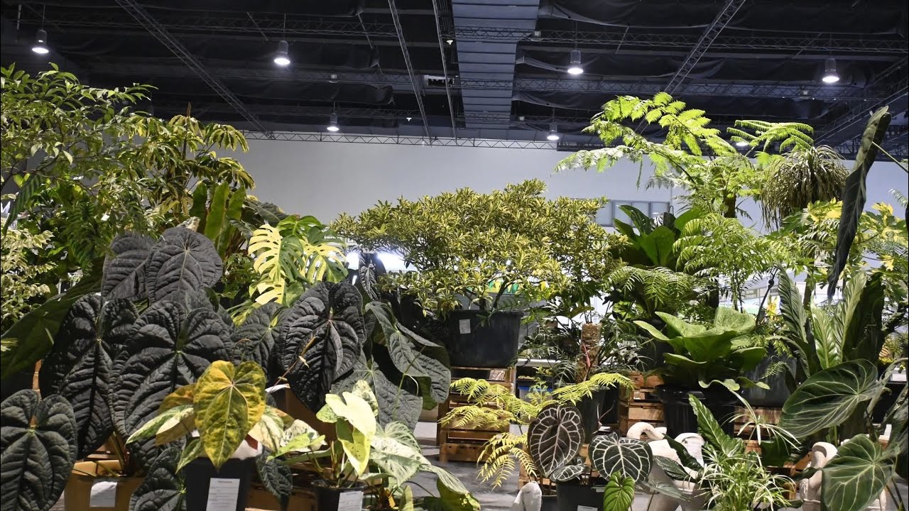 INTERNATIONAL PLANT SHOW PART1