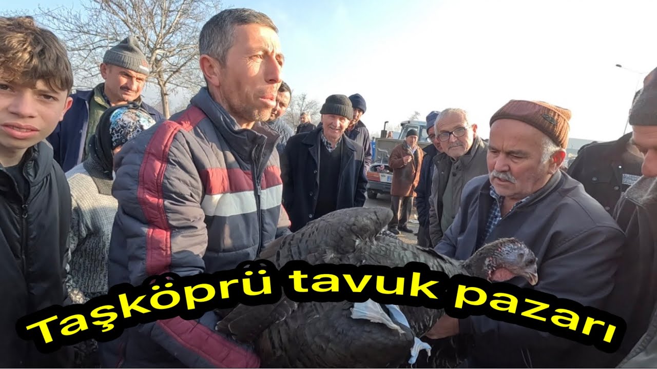 Taşköprü tavuk pazarı yıl başı öncesi rengarenk doldu taştı fiyat bilgisi ve pazarlıklar 🐓🦆🦢