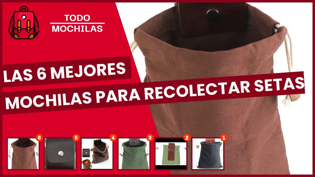 Las 6 mejores mochilas para recolectar setas