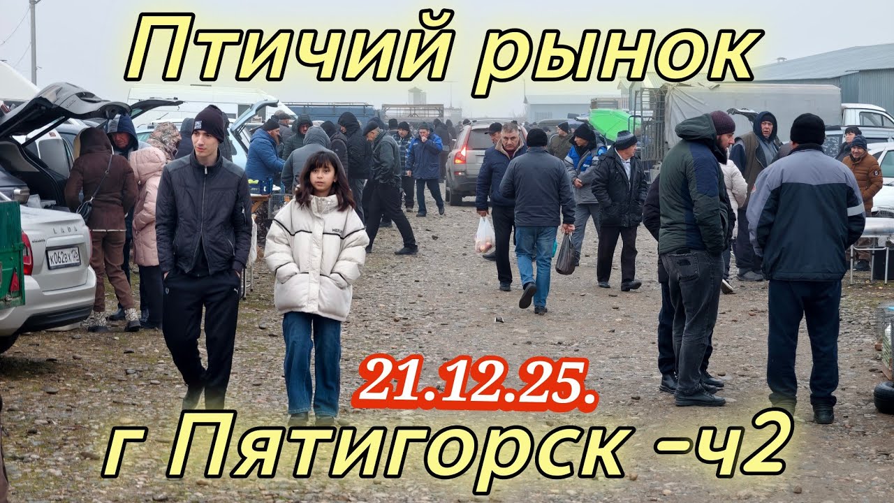 Голуби цены Птичий рынок г Пятигорск -ч2