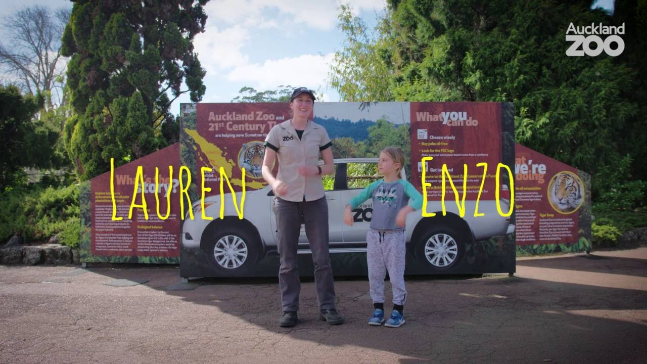 Zoo Tales - Tiger talk