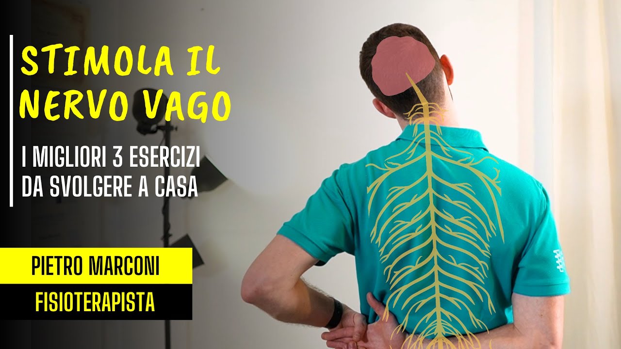 NERVO VAGO: i migliori 3 esercizi per stimolarlo