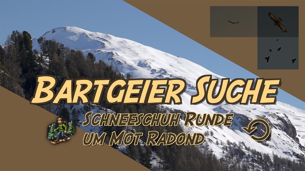 Auf Bartgeiersuche - Schneeschuh Runde vom Minschuns um Mot Radond herum